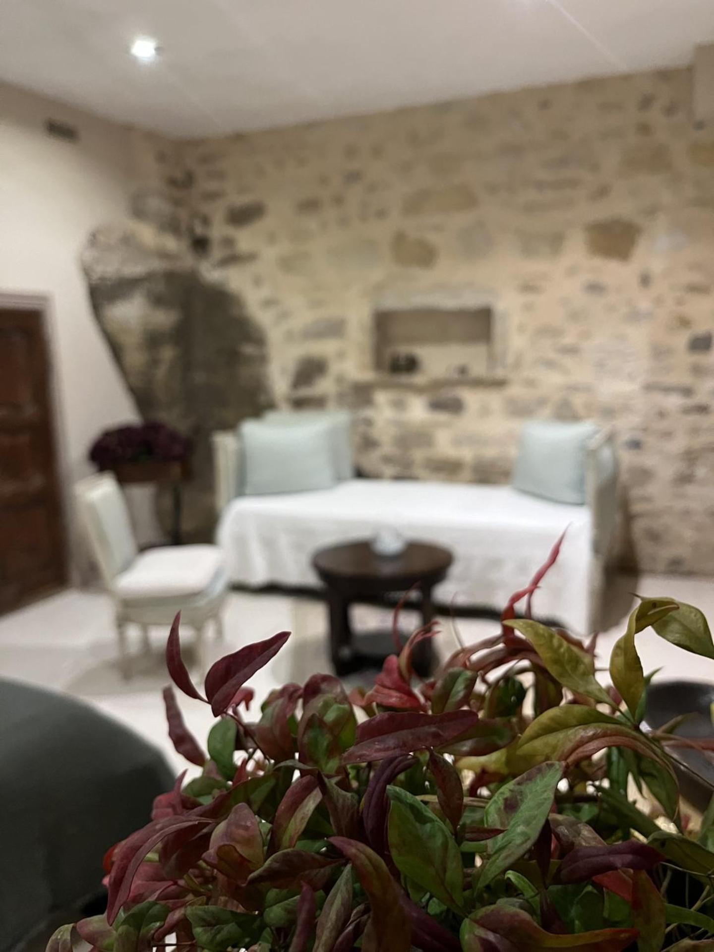 Le Logis D'Hortense Vic-le-Comte ภายนอก รูปภาพ