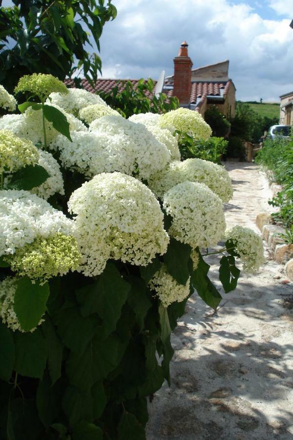 Le Logis D'Hortense Vic-le-Comte ภายนอก รูปภาพ